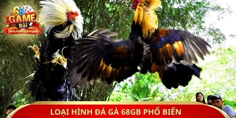 Loại hình đá gà 68gb phổ biến
